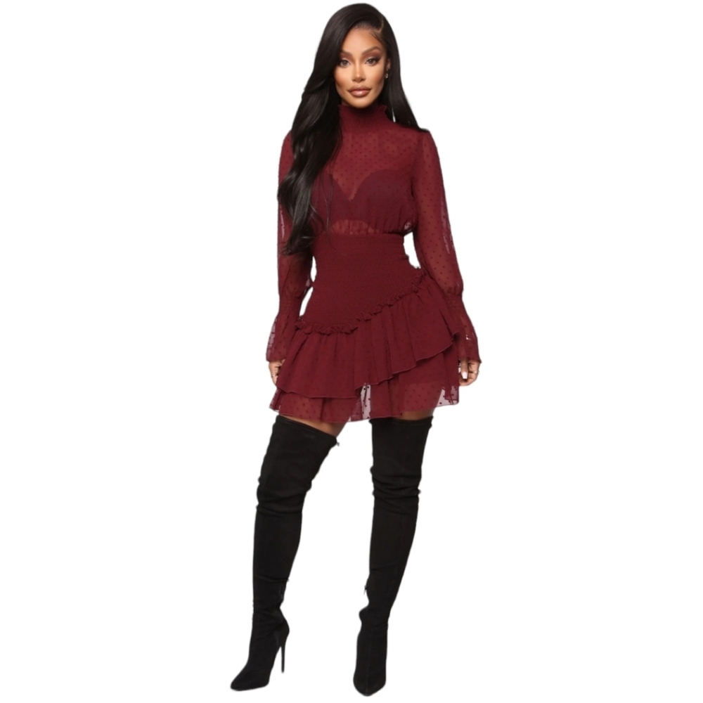 Fashion Nova Burgundy Mesh Mini Dress